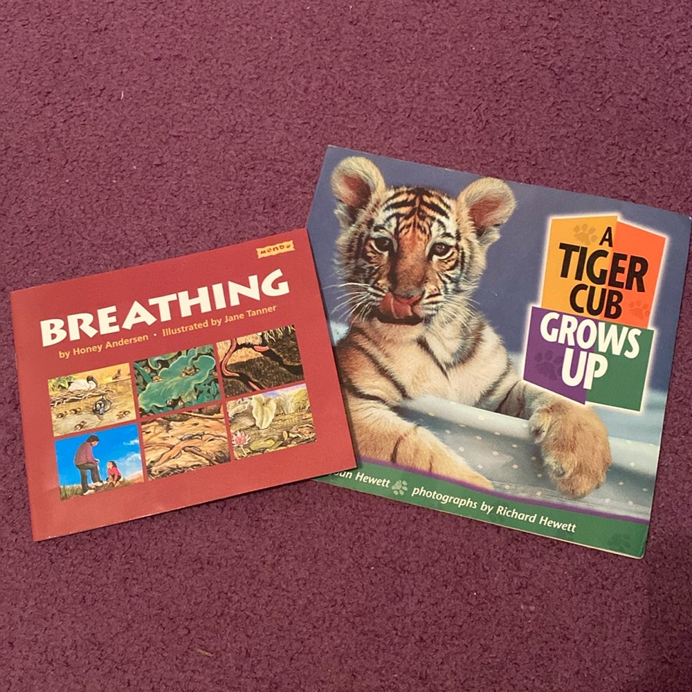 A Scholastic children animal books